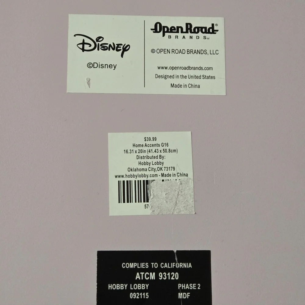 Disney Princess Colorful Believe Wall Art
